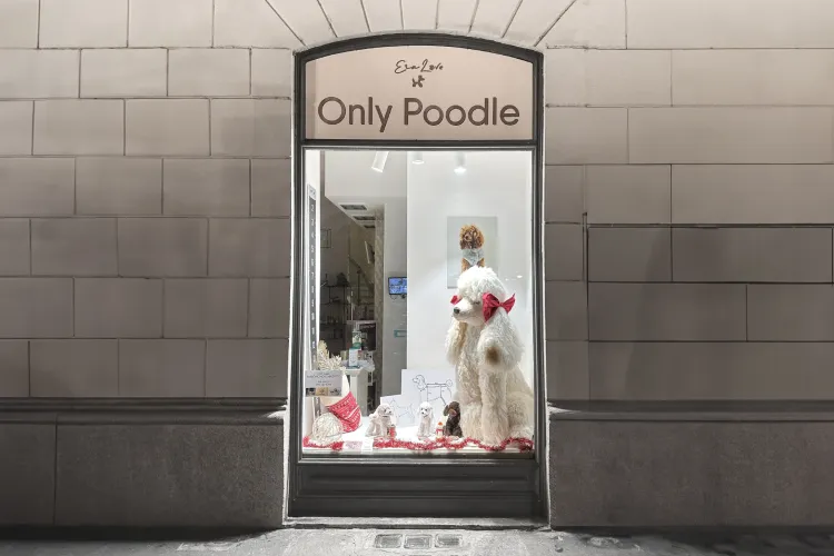 Only Poodle! Wie spitz darf Positionierung sein?