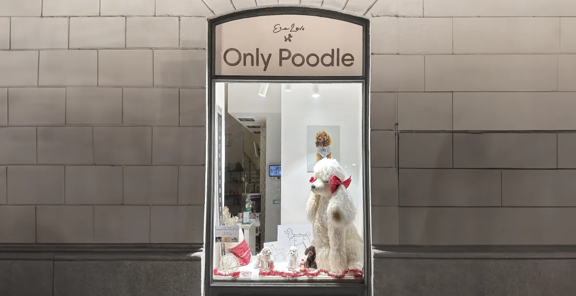 Only Poodle! Wie spitz darf Positionierung sein?