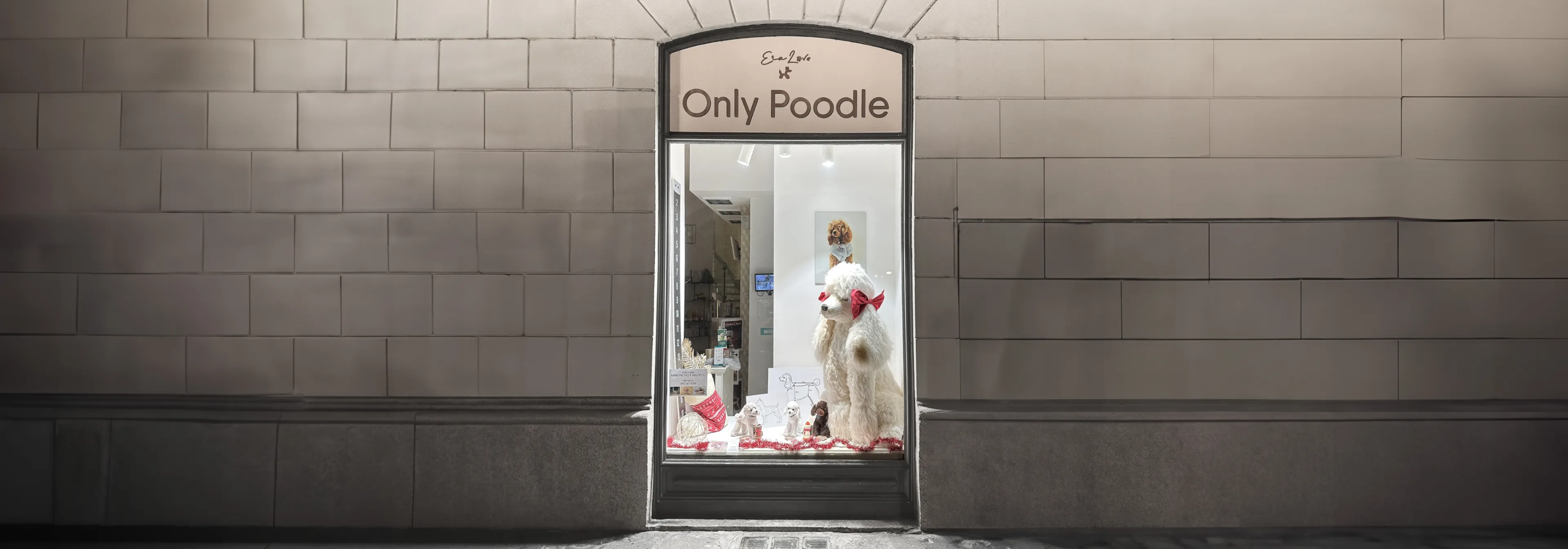 Only Poodle! Wie spitz darf Positionierung sein?